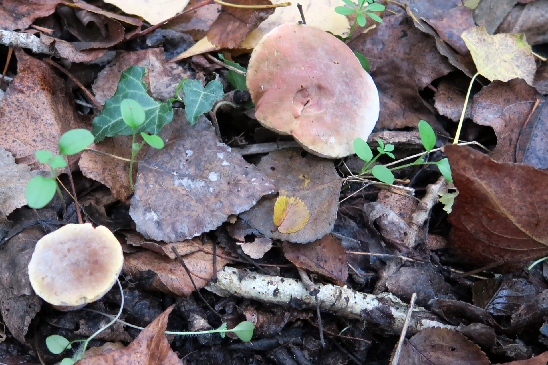 1 -